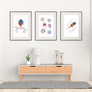 May include: Three framed watercolor illustrations of different types of bacteria. The first illustration shows a bacteriophage, the second shows a variety of bacteria, and the third shows a rod-shaped bacterium.