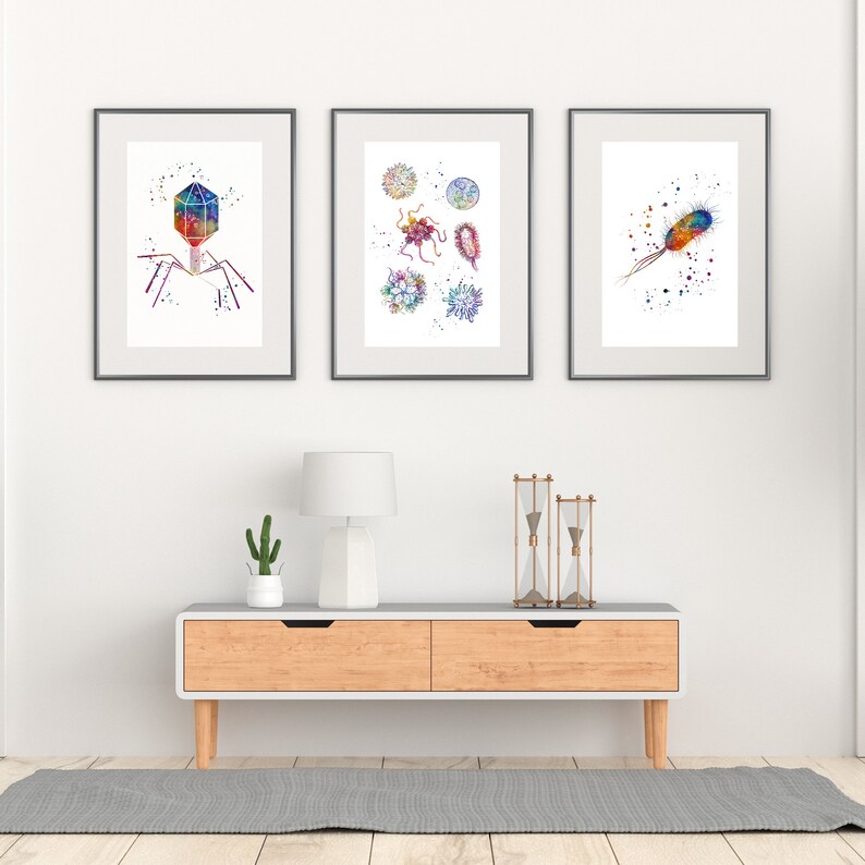 May include: Three framed watercolor illustrations of different types of bacteria. The first illustration shows a bacteriophage, the second shows a variety of bacteria, and the third shows a rod-shaped bacterium.