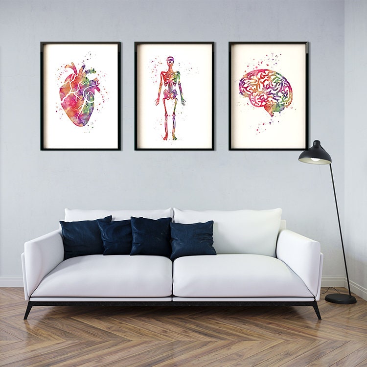 Human Anatomy Art Set of 3 Watercolor Heart Brain Skeleton Prints Brain ...