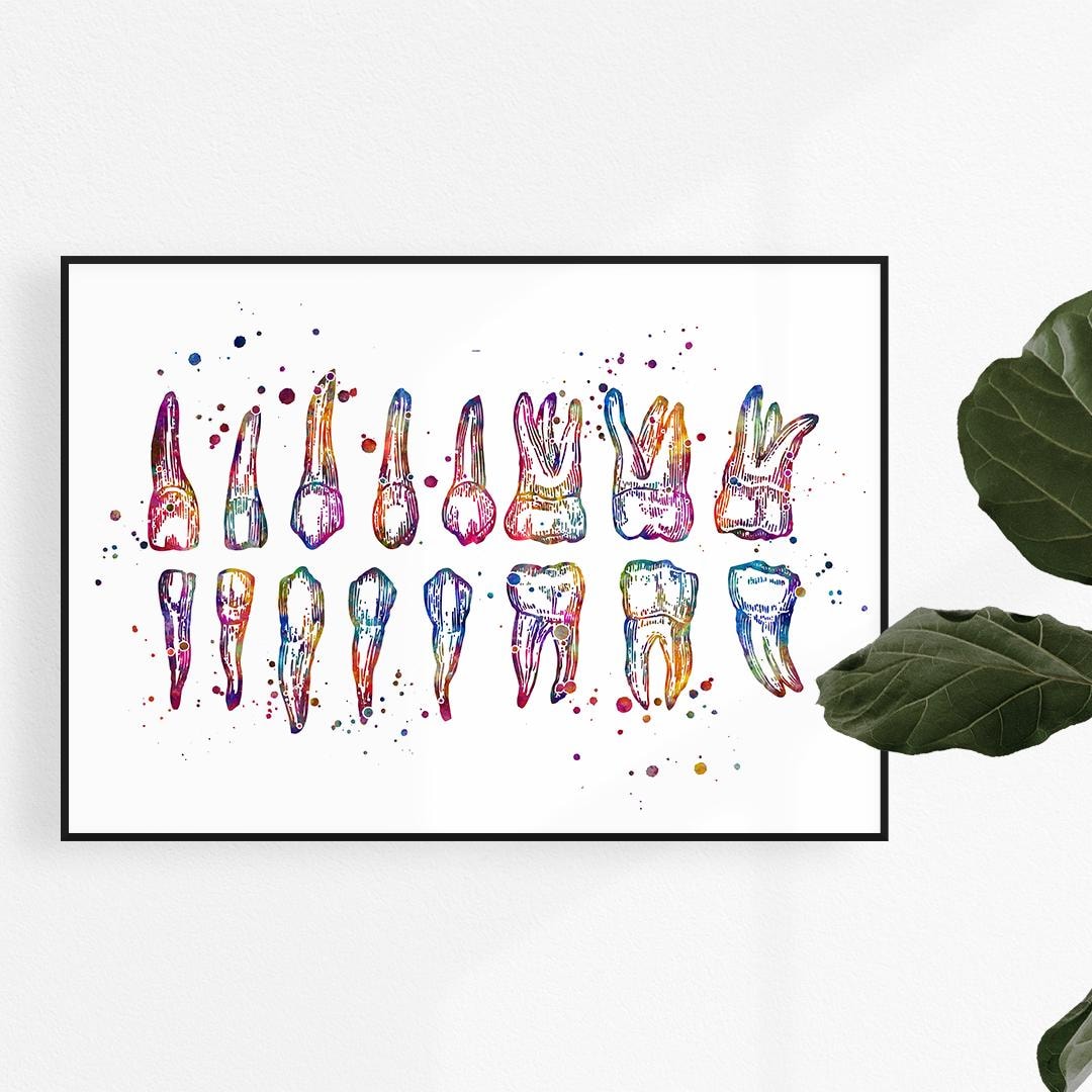 Colorful Watercolor Teeth Chart Print, Dentist Office Wall Art, Dental ...