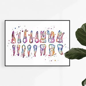 Colorful watercolor teeth chart print for dentist office wall art