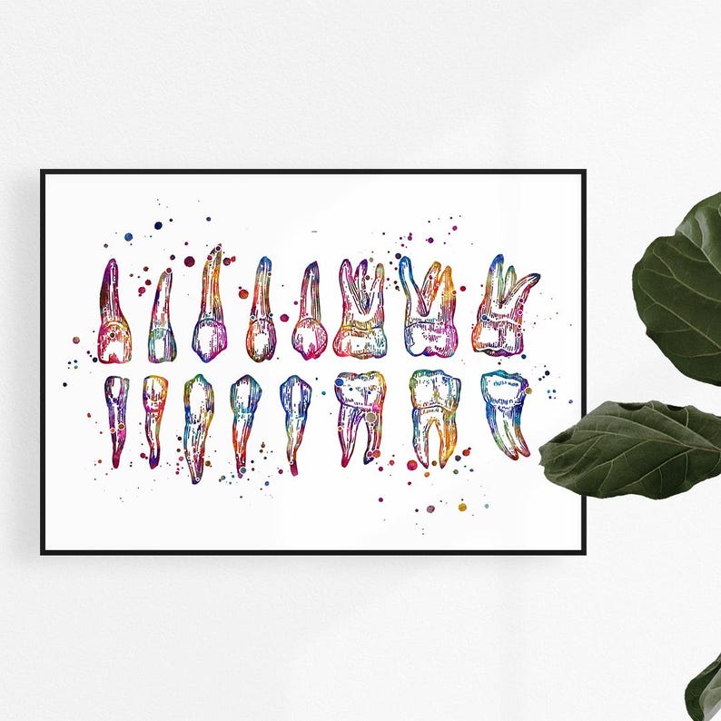 Colorful watercolor teeth chart print for dentist office wall art
