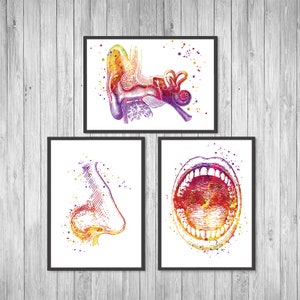 ENT Gifts, ENT Art Set of 3 Medical Art Prints Ear Nose Throat Medical Student Gift, Nursing student Present, ent surgeon gift anatomy art