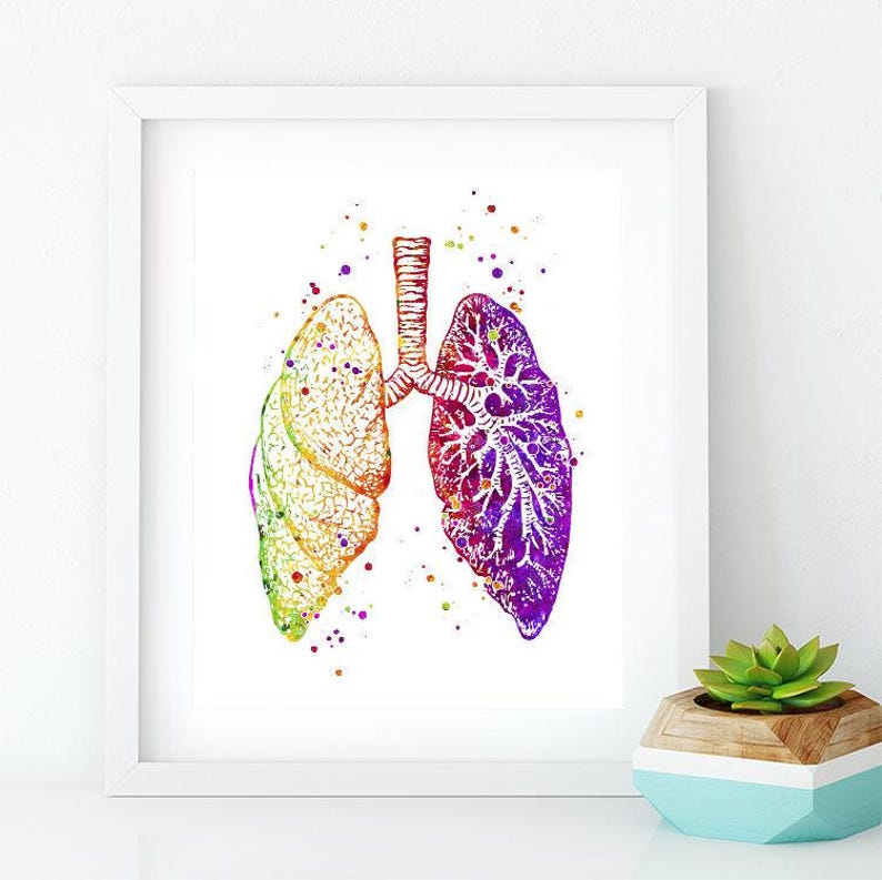 Anatomical Lungs Anatomy art print, Med student gift, Medical art poster Watercolor Decor for Doctor office image 4