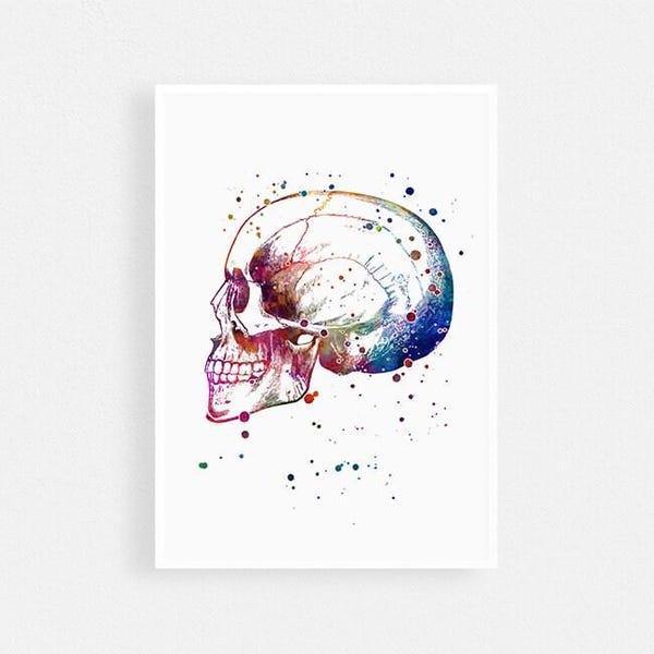 Menselijke schedel anatomie kunst aquarel print dokterspraktijk decor anatomische poster medisch student cadeau