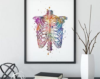 Impresión artística de la caja torácica, esqueleto del tórax humano, acuarela colorida, arte mural para interiores de clínica quiropráctica, póster médico, sin marco