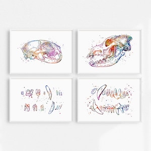 Veterinaire tandheelkundige kliniek wand decor, hond en kat tandheelkunde kunst aan de muur, dierenarts tandarts cadeau