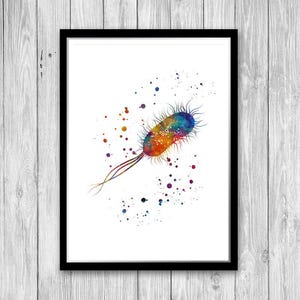 Stampa acquerello Escherichia coli, arte microbiologica, batteri, arte murale, regalo per microbiologo, decorazione scientifica