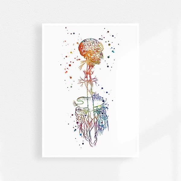 Impression d’art aquarelle du nerf vague, art de l’anatomie, cadeau de médecin neurologue et neurologie, décor de bureau d’ostéopathe