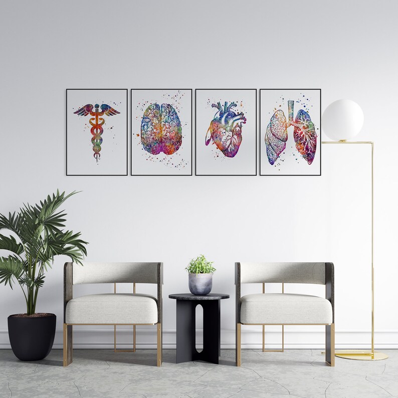 Medical Office Decor - Anatomy Art Set of 4 Watercolor Prints - School ...