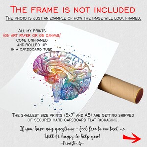 Neuroanatomy Art Print | Brain Anatomy Cross Section | Watercolor ...
