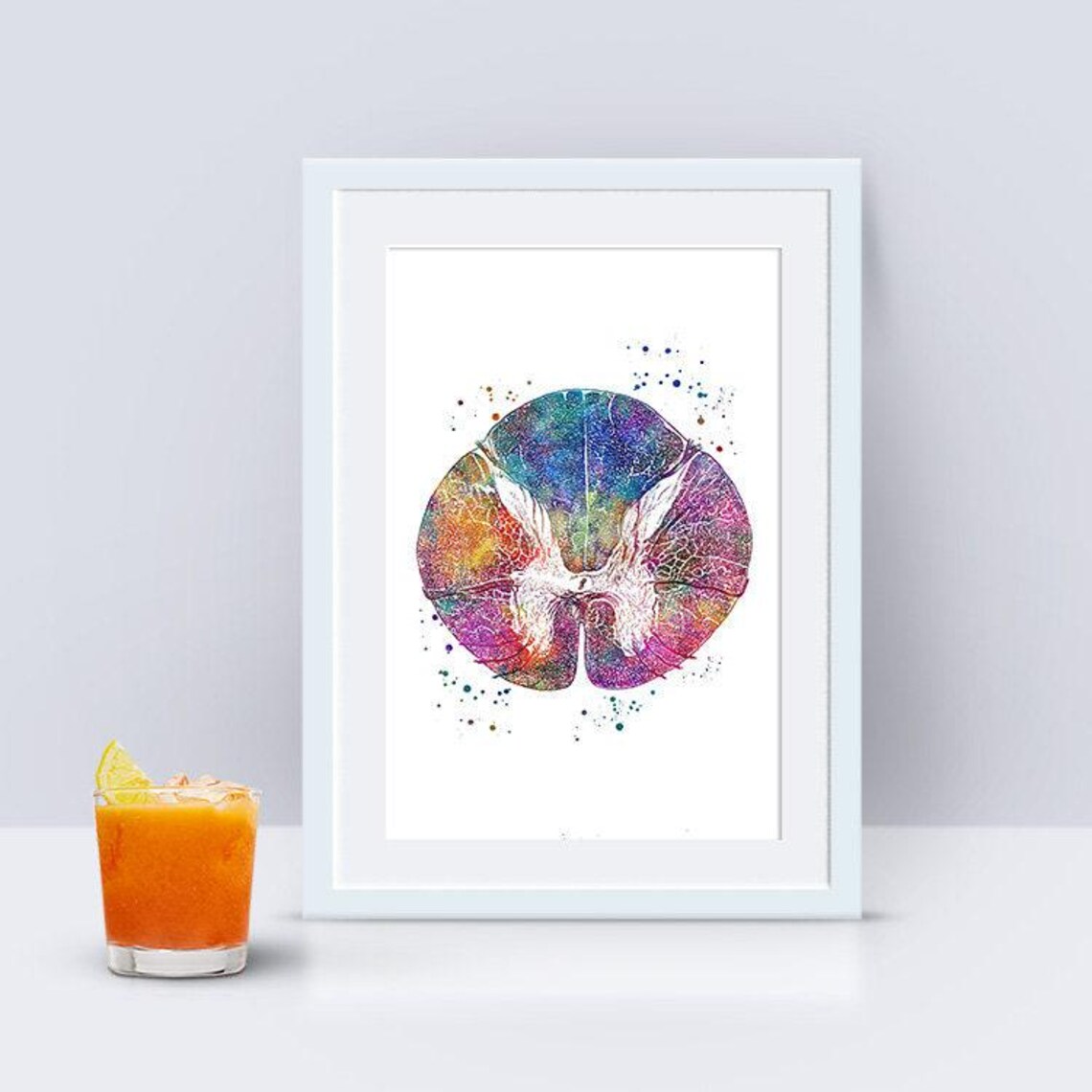 Spinal Cord Cross Section Watercolor Print Anatomy Art Doctor Office ...