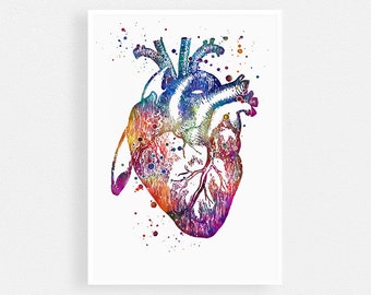 Anatomical Heart Art Print, Watercolor anatomy art wall art for doctor office decor