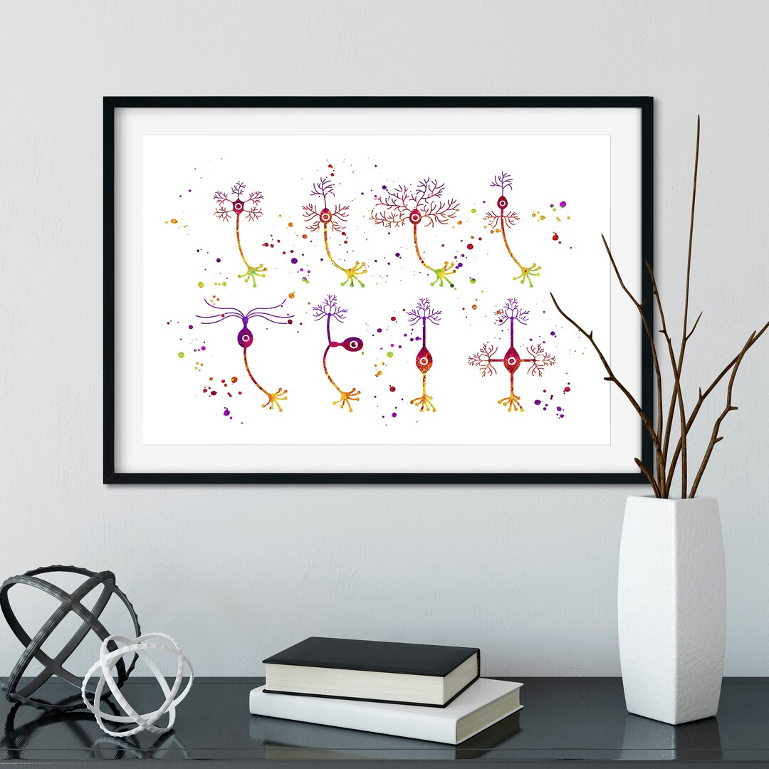 Neuroscience Art Print, Neuron Cells Types Watercolor Science Biology ...