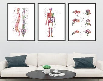 Menselijke anatomie Art aquarel wervelkolom skelet wervel botten chiropractie kliniek Wall Art Decor medische kunst