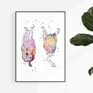 Watercolor Lymph Nodes Print, Oncologist Gift, Lymphatic System Wall Art for Clinic Decor