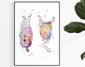 Watercolor Lymph Nodes Print, Oncologist Gift, Lymphatic System Wall Art for Clinic Decor