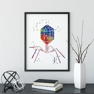 May include: A watercolor painting of a bacteriophage, a type of virus that infects bacteria. The bacteriophage is depicted in a colorful, abstract style with a geometric head and tail-like appendages.