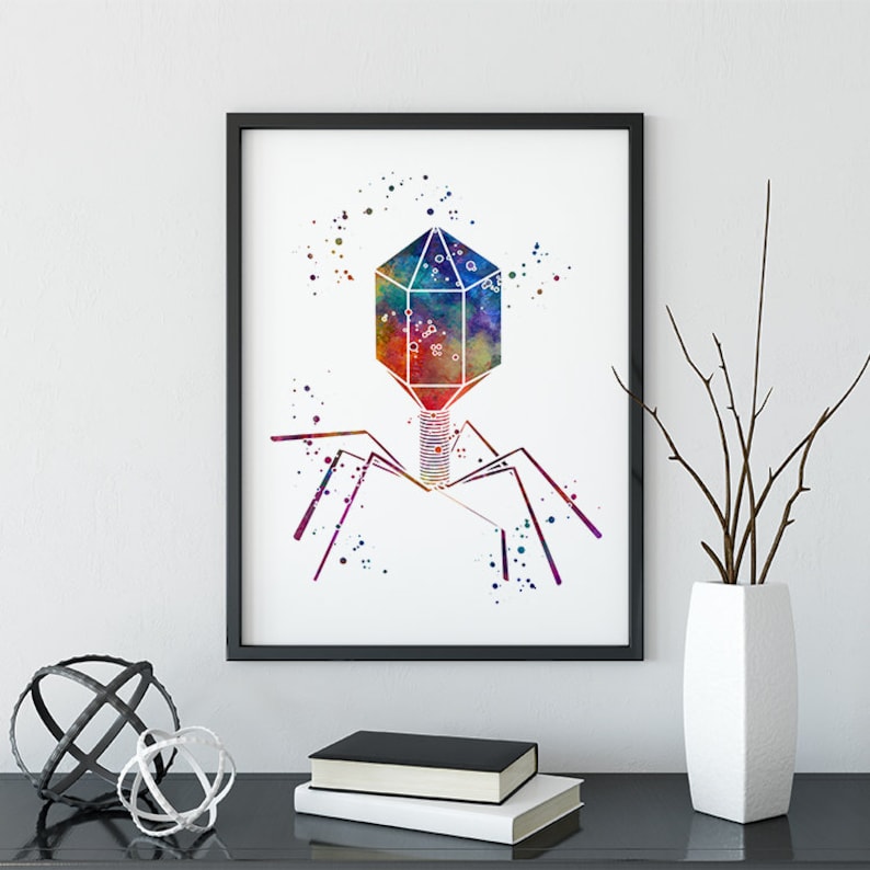 May include: A watercolor painting of a bacteriophage, a type of virus that infects bacteria. The bacteriophage is depicted in a colorful, abstract style with a geometric head and tail-like appendages.
