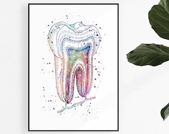 Tooth Watercolor Print, Anatomy Art for Dentists, Dentistry Student Graduation Gift, Dental Clinic Decor