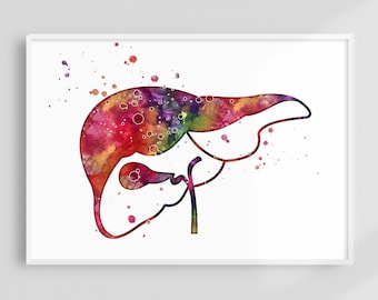 Gastroenterologist Office Decor, Medical Anatomy Wall Art, Liver and Gall Watercolor Print, Anatomical Poster, Hepatologist Graduation Gift