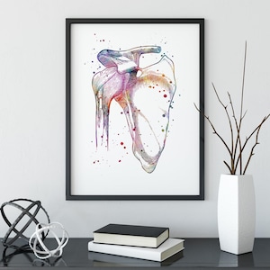 Physiotherapist Office Decor, Shoulder Joint Print, Multicolored Watercolor Anatomical Artwork, Orthopedic surgeon cabinet wall decoration