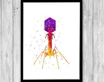 Microbiology Bacteriophage Art Watercolor Virus Print Science Art Wall Decor immunology print Biology Student Gift