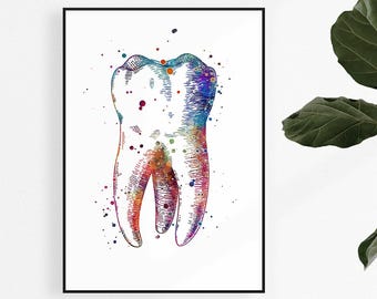 Tooth art Dental art Dental office decor Dentist gift Molar anatomy art Watercolor Print
