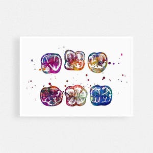 Teeth poster | Dental art multicolored watercolor artwork | Surface of Molar vibrant print for dentist office wall art decor