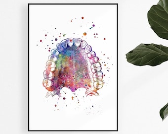 Oral Anatomy Wall Art Mouth Teeth Palate Watercolor Print Dentist Office Decor Dentistry Poster Gift