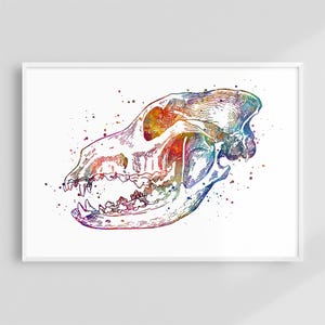Arte de pared de odontología veterinaria, impresión de acuarela de calavera de perro, póster de anatomía dental canina, decoración de clínica veterinaria, obra de arte médica para veterinarios