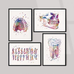 Dental Office Wall Art Set of 4, Tooth Anatomy Prints, Dentist Gift, Dental Clinic Decor