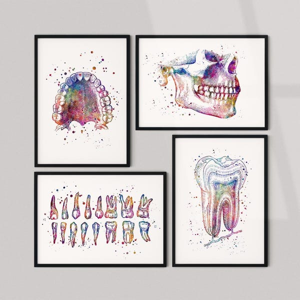 Tandartspraktijk muurkunst set van 4, tandanatomieprints, tandartscadeau, decor tandartspraktijk
