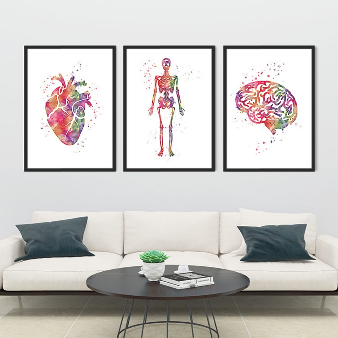 Human Anatomy Art Set of 3 Watercolor Heart Brain Skeleton Prints Brain ...