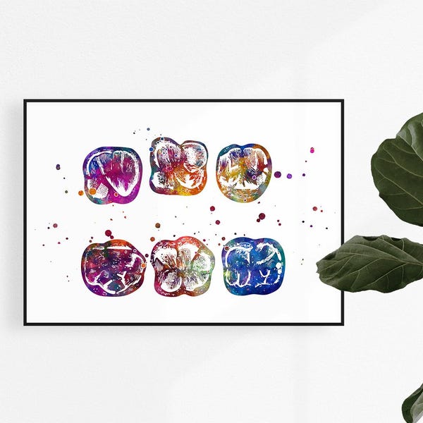 Dental Technician Wall Art, Watercolor Molar Teeth Print, Dental Lab Decor, Laboratory Poster