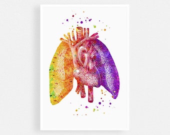 Impresión de acuarela de pulmones y corazón, arte de anatomía humana