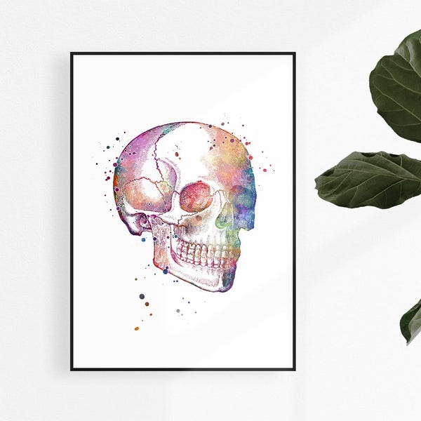 Human Skull medical art watercolor print | Dental surgery office wall art decor | facial surgeon gift