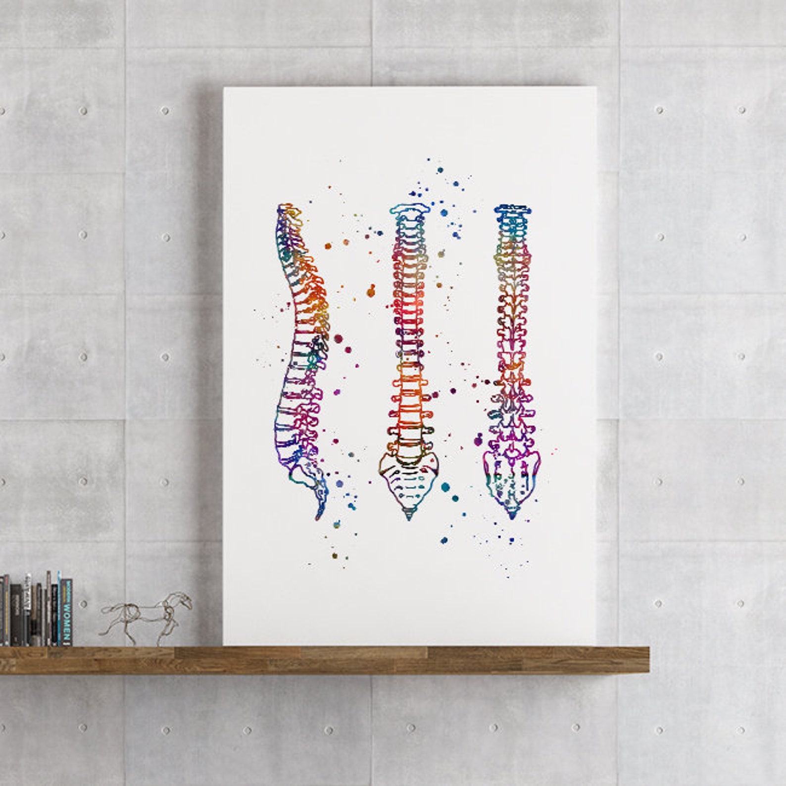 Human Spine Watercolor Print Anatomy Art Medical Poster Doctor | Etsy
