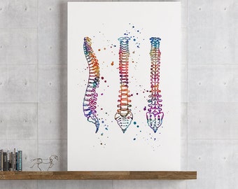 Human Spine Watercolor Print Anatomy Art Medical Poster Doctor Office Decor Spinal Column