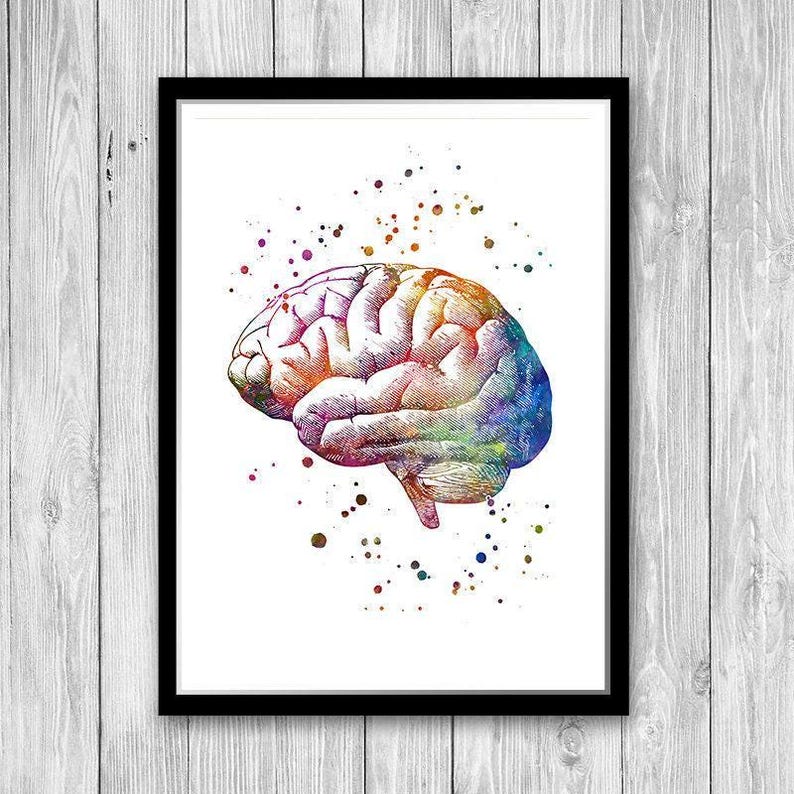 Brain Anatomy Art Print | Medical Office Decor | Human Anatomy ...