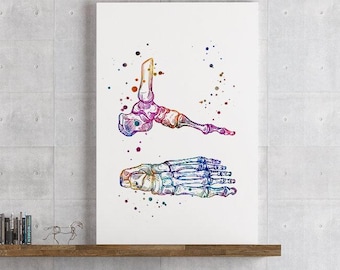 Human Foot and Ankle Bones watercolor anatomy art print, Chiropractor Gift, Doctor Orthopedic office decor