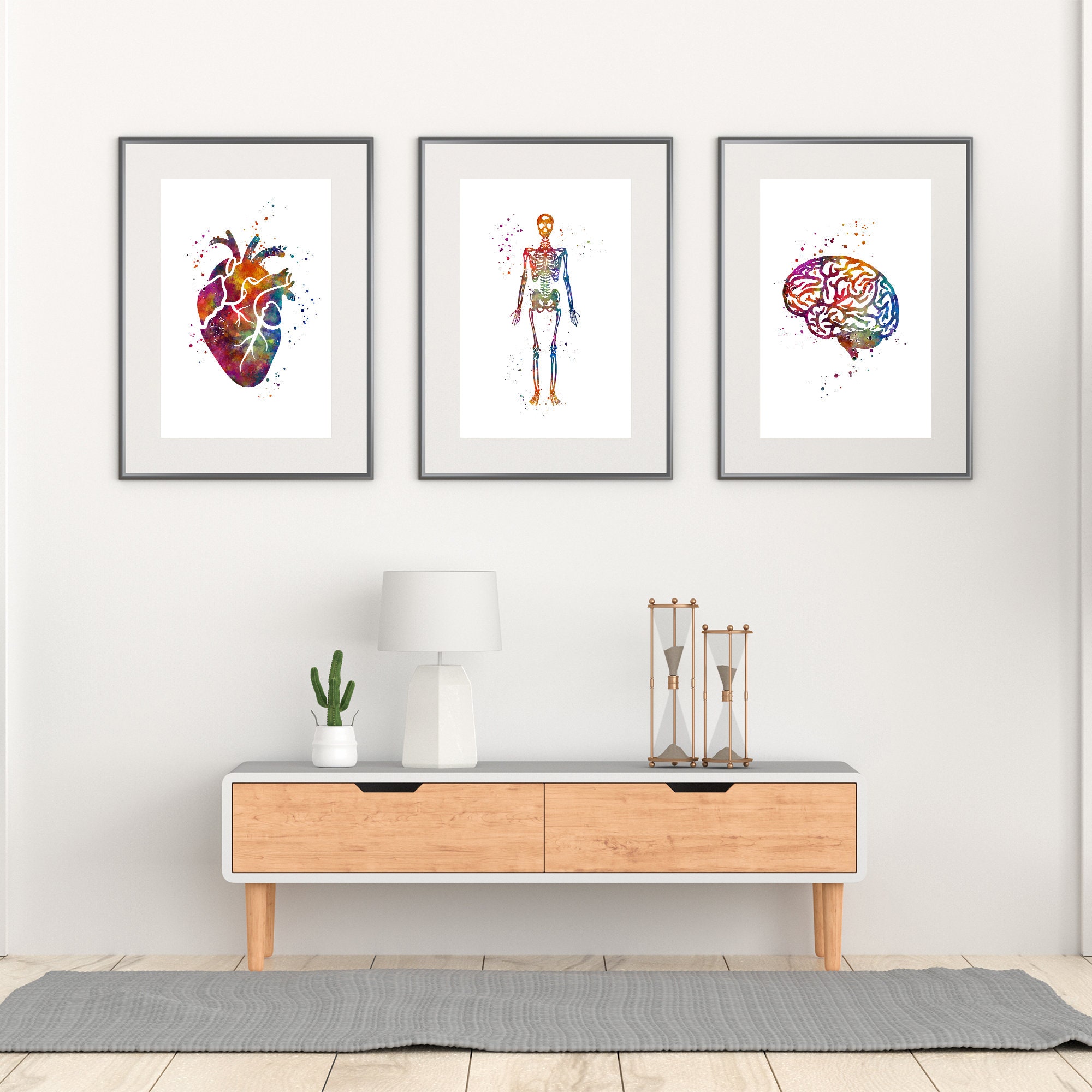 Human Anatomy Art, Anatomical Heart Brain and Skeleton, Set of 3 ...