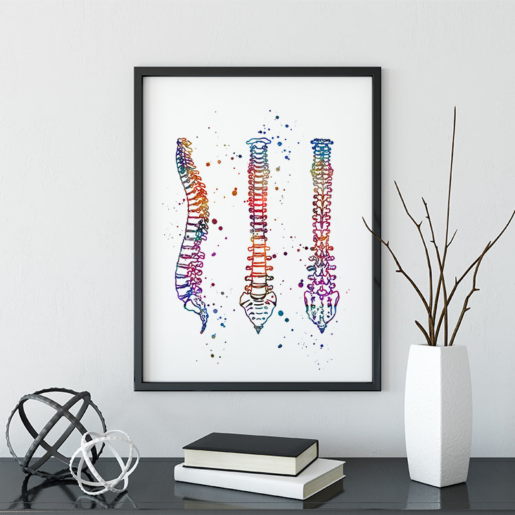 Human Spine Watercolor Print Anatomy Art Medical Poster Doctor | Etsy