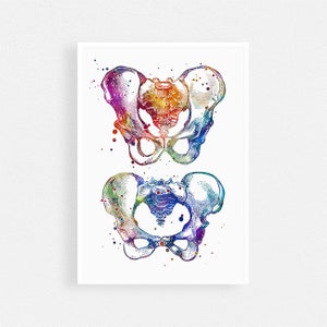 Male and Female Pelvis Watercolor Print Anatomy Art Human Skeletal System Clinic Decor