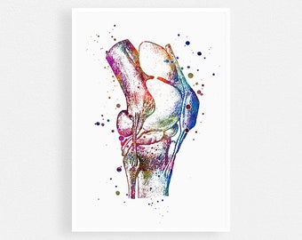 Knee Anatomy Art Watercolor Print - Orthopedic Surgeon Gift - Doctor Office Decor - Medical Poster