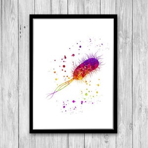 Bacterium Print, Escherichia coli Watercolor Art Print, Microbiology Art Bacteria E. coli Biology Print Classroom Art, Molecular biology Art