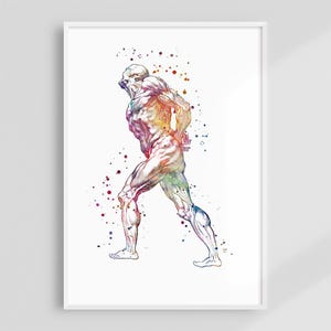 Human Muscular System Wall Art, Watercolor Anatomy Print for Chiropractor, Physical Therapist, Gym, Sports Office, Massage or Fitness Decor