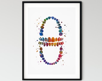 Tooth Chart Watercolour Print, Dental Clinic Wall Art, Pediatric Dentist Decor, Unframed Poster