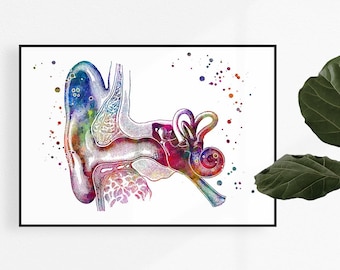 Audiology Art Audiologist Gift Human Ear Anatomy Watercolor Print Doctor ENT Office Decor