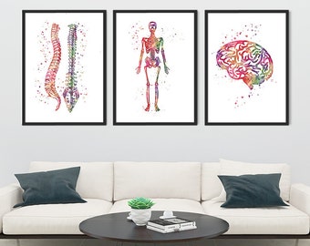 Human Anatomy Art Spine Skeleton Brain Watercolor Prints Chiropractic Wall Decor Neurosurgery, Orthopedic surgery